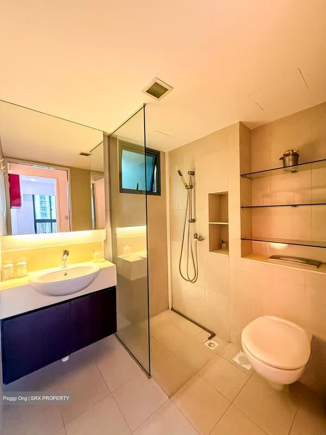 Blk 1 The Pinnacle@Duxton (Bukit Merah), HDB 4 Rooms #560828211